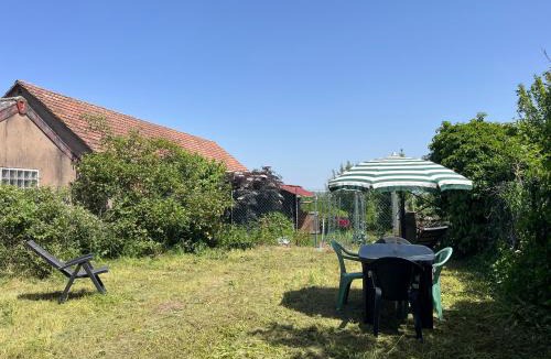 Blienschwiller House | La Terrasse des Vignes - Gîte 3 Étoiles Centre Alsace - Logement entier
