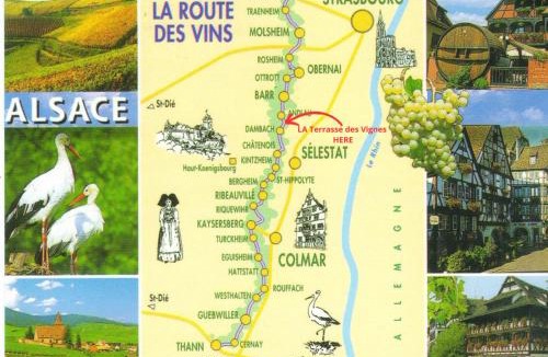Blienschwiller House | La Terrasse des Vignes - Gîte 3 Étoiles Centre Alsace - Logement entier