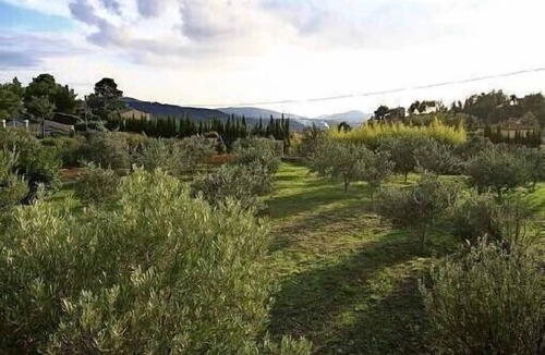 La Cadiere-d'Azur Cottage | La Treille Mas Bouteillans, charm, comfort, calm amid the olive grove