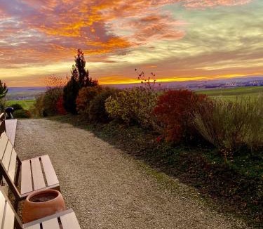 Cernay-les-Reims House | La Villa Mellifera