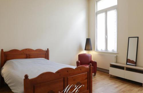 Bar-le-Duc Apartment | Le Bailli Charme ancien, cœur de Bar-le-duc
