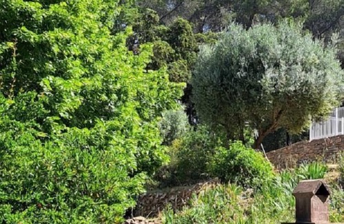Le Beausset House | Le Bastidon des Tilleuls