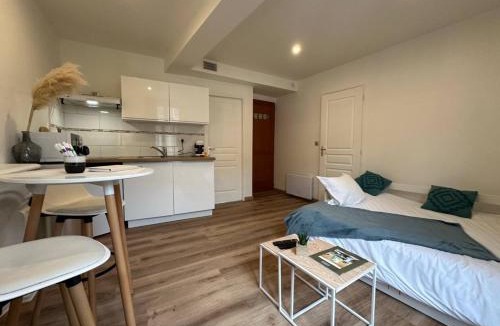 Sens Apartment | Le Blue- hyper centre ville