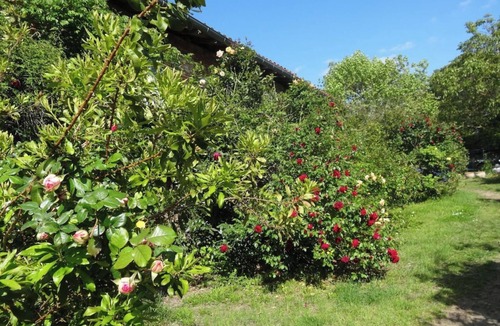 Montbrun-Lauragais House | Le Cers: a nature oasis on the outskirts of Toulouse.