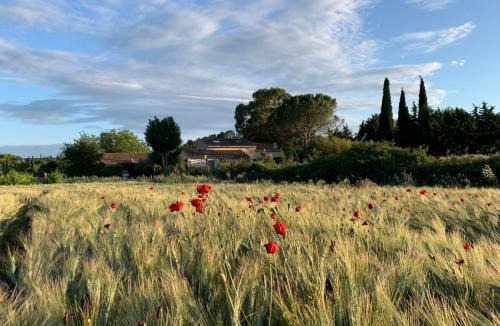 Serviers-et-Labaume Apartment | Le Clos D'icelle Studio Premium et Piscine