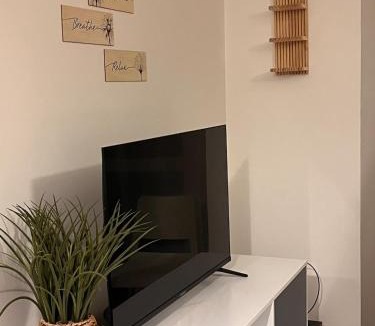 Rosieres-pres-Troyes Apartment | Le cocon de Joëly