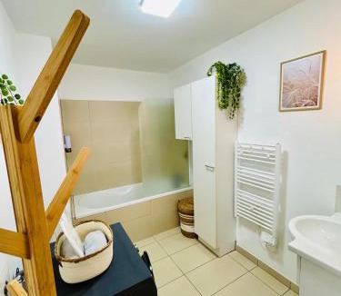 Amneville Apartment | Le Cocon des Thermes Amneville Metz Luxembourg