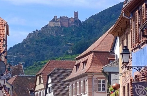 Bergheim Apartment | Le Coin Zen - Parking, Borne VE et Fibre