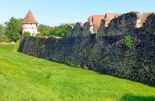 Bergheim Apartment | Le Coin Zen - Parking, Borne VE et Fibre