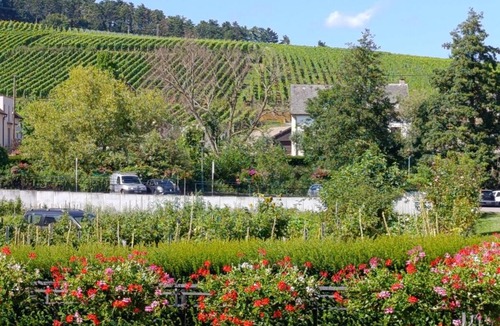 Bergheim Apartment | Le Coin Zen - Parking, Borne VE et Fibre