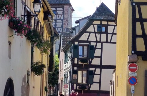 Bergheim Apartment | Le Coin Zen - Parking, Borne VE et Fibre