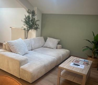Sarrebourg Apartment | LE CONFORTABLE Sarrebourg Wifi Parking 4 personnes Proche Gare