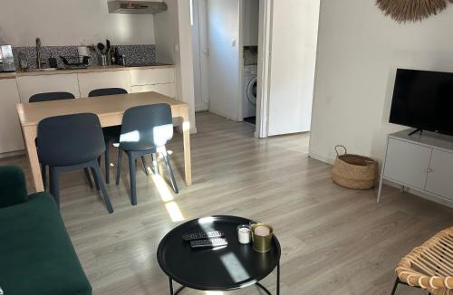 Centre Ville Apartment | Le Cosy appartement chic 1 chambre au coeur de Pau