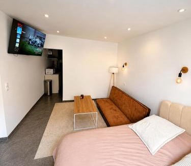 Longwy Agglomeration Apartment | Le Cosy de Longwy