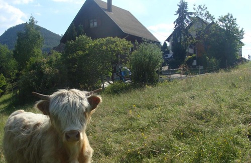 Breitenau Ski Chalet | Le coucou