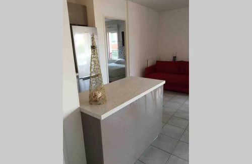 Cimiez Apartment | Le Gallienice au cœur de la ville