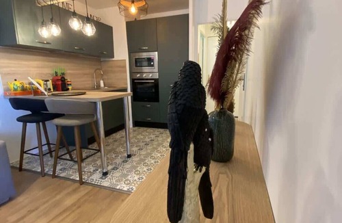 Blagnac Apartment | Le Jungle | T2 & Garden, Blagnac