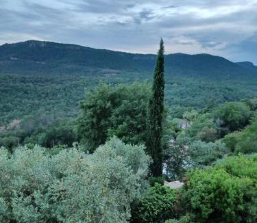 Bagnols-en-Foret House | Le Logis de Saint-Antoine
