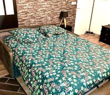 Sens Apartment | Le Mécanique Room centre ville, parking gratuit