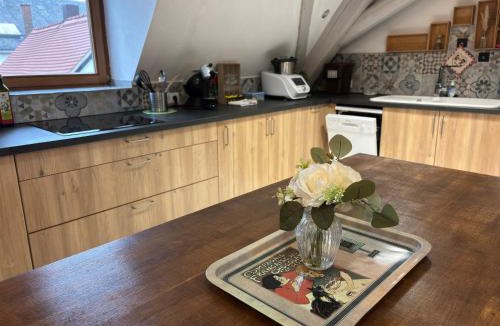 Erstein House | Le Nid Alsacien - Centre Ville - Proche Parking Gratuit - Europa-park