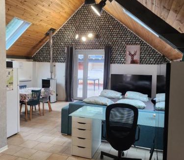 Abreschviller House | le nid du calice