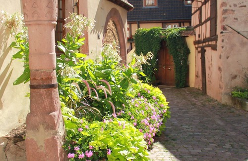 Riquewihr Apartment | LE NID DU HIBOU Charming Duplex 75 sqm/5 persons quiet in the historical center