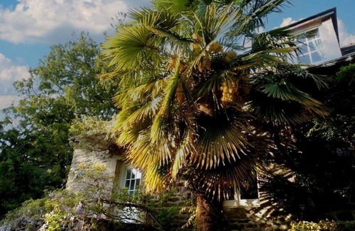 Plouer-sur-Rance House | "Le Palmier" vacation home in Brittany, close to the sea with a German-speaking family