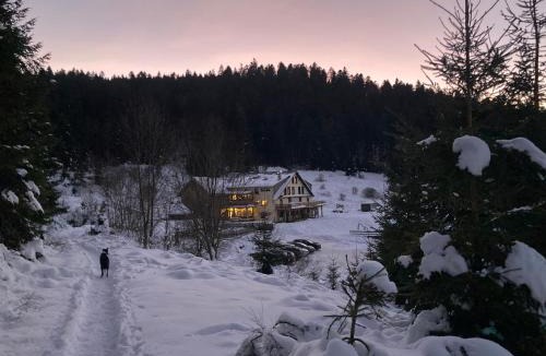 Le Grand Valtin Apartment | Le Perchoir du Grand Valtin - Gîte 9 personnes - Altitude 830