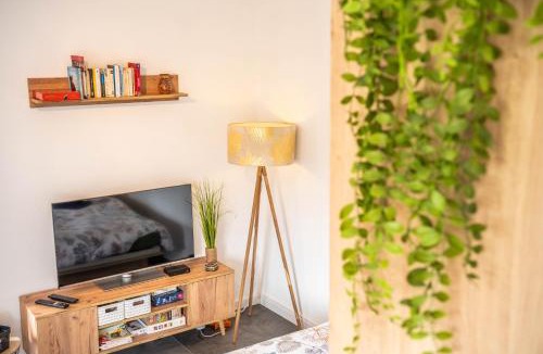 Ingersheim Apartment | Le Petit Letzenberg