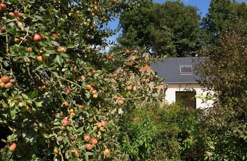 Langoat House | Le Petit Moulin - Langoat