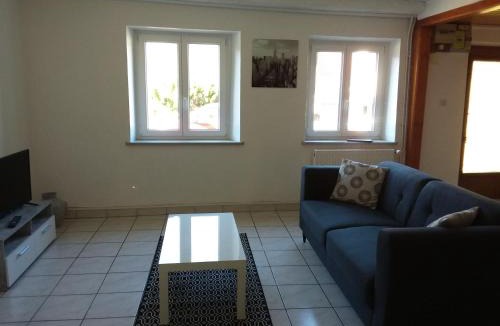 Sainte-Marie-aux-Mines Apartment | Le petit St Blaise