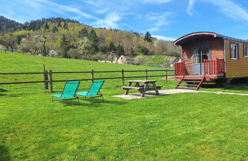 Mitzach Ski Chalet | Le Repaire de Mitzerlé