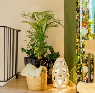 Molsheim Apartment | Le temps d'un rêve, prestige, détente au centre ville.