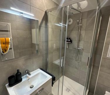 Metz-Centre – Ancienne Ville Apartment | LeLafayette