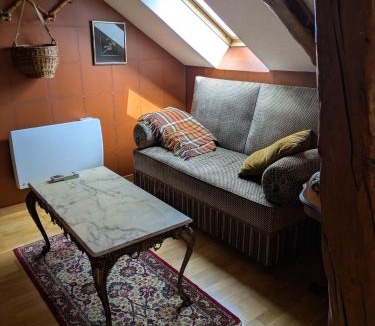 Etival-Clairefontaine Apartment | Les Chanterelles La souris des champs