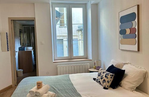Saint-Pierre - Rene II - Bonsecours Apartment | Les Cosy de Nancy - Le repère du roi stanislas 4étoiles
