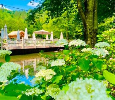 Thonnance-Les-Joinville House | Les jardins extraordinaires