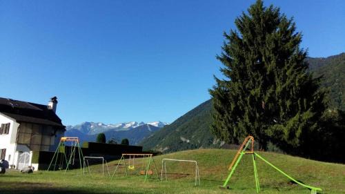 Cier-de-Luchon House | Les jonquilles et les narcisses