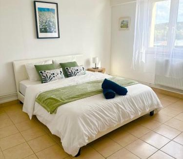 Yutz Apartment | Les suites frontalières T3 avec parking secteur Thionville Luxembourg