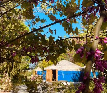 Pontiacq-Viellepinte Bed & Breakfast | Les Yourtes Du Béarn - Domaine des deux clos