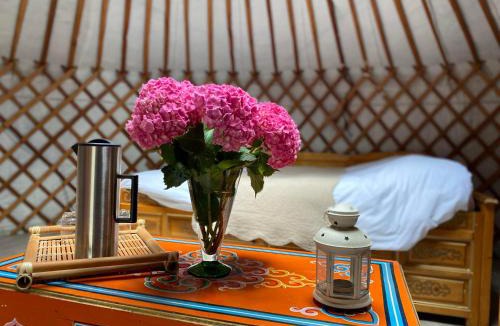 Pontiacq-Viellepinte Bed & Breakfast | Les Yourtes Du Béarn - Domaine des deux clos