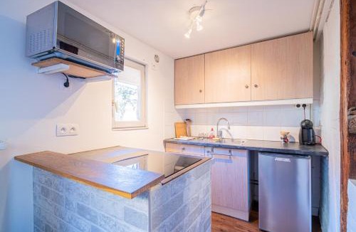 Kintzheim Apartment | Loft Cocon d'Alsace - Cour intérieure au calme