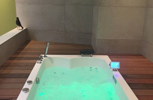 Reims Apartment | Loft comfort with Spa, Hammam and private sauna 2 in Reims
