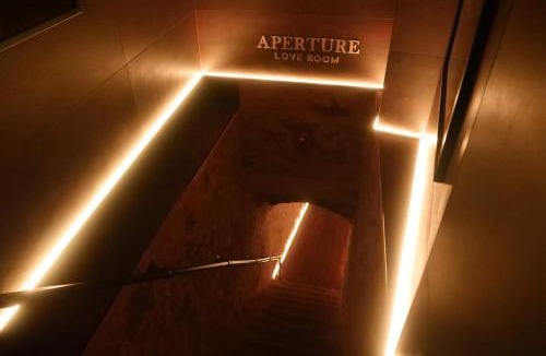 Centre Erlon Apartment | Love Room & Speakeasy