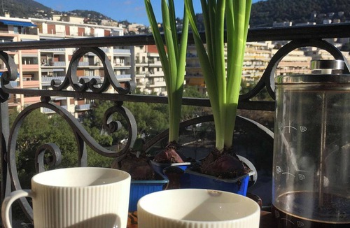 Riquier Apartment | LOVELY LITTLE NEST FOR UP TO 5 PEOPLE, PETS WELCOME