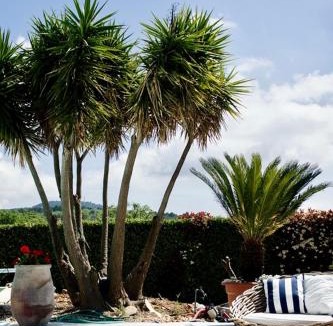 Saint-Cezaire-sur-Siagne Villa | Luxury 6 bedroom villa with pool and independent cottage