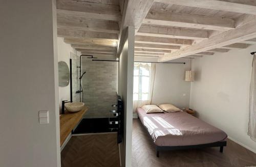 Noe Villa | Magnifique villa tout confort à 20m de Toulouse
