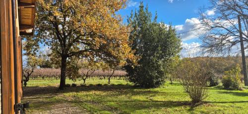Cazaubon House | Maison au milieu des vignes