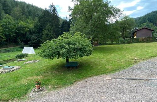 Muhlbach-sur-Bruche House | Maison confortable à Muhlbach-sur-Bruche, terrain de 6000 m².