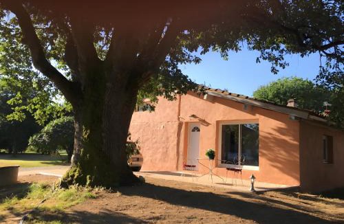 Loubersan House | Maison Maguiga avec piscine
